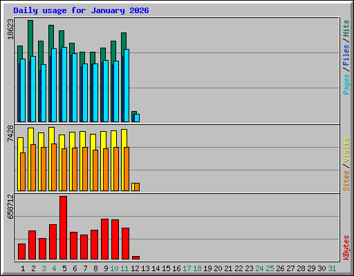 Daily usage for January 2026