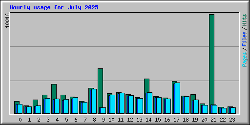 Hourly usage for July 2025