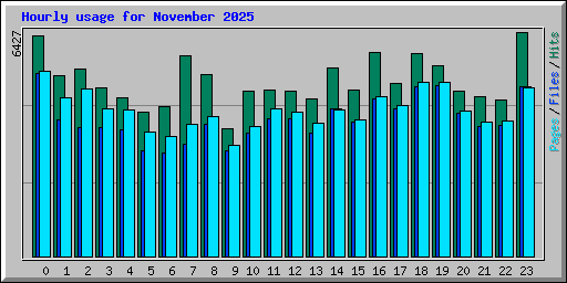 Hourly usage for November 2025