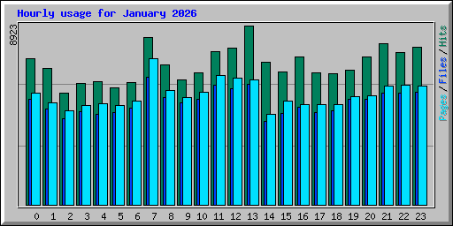Hourly usage for January 2026