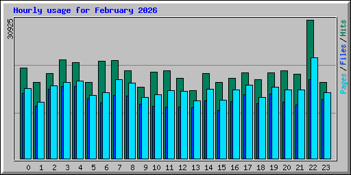 Hourly usage for February 2026