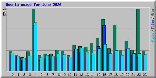Hourly usage for June 2026