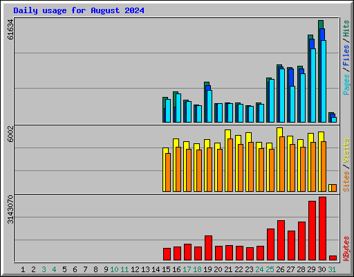 Daily usage for August 2024