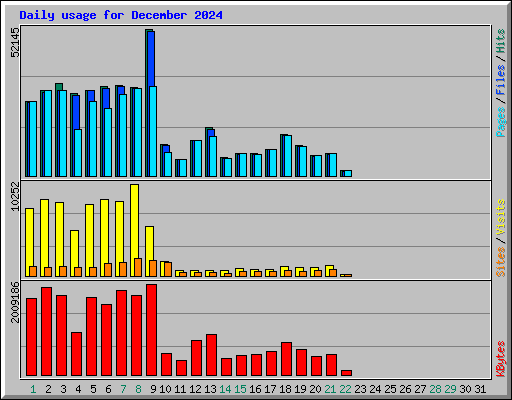 Daily usage for December 2024